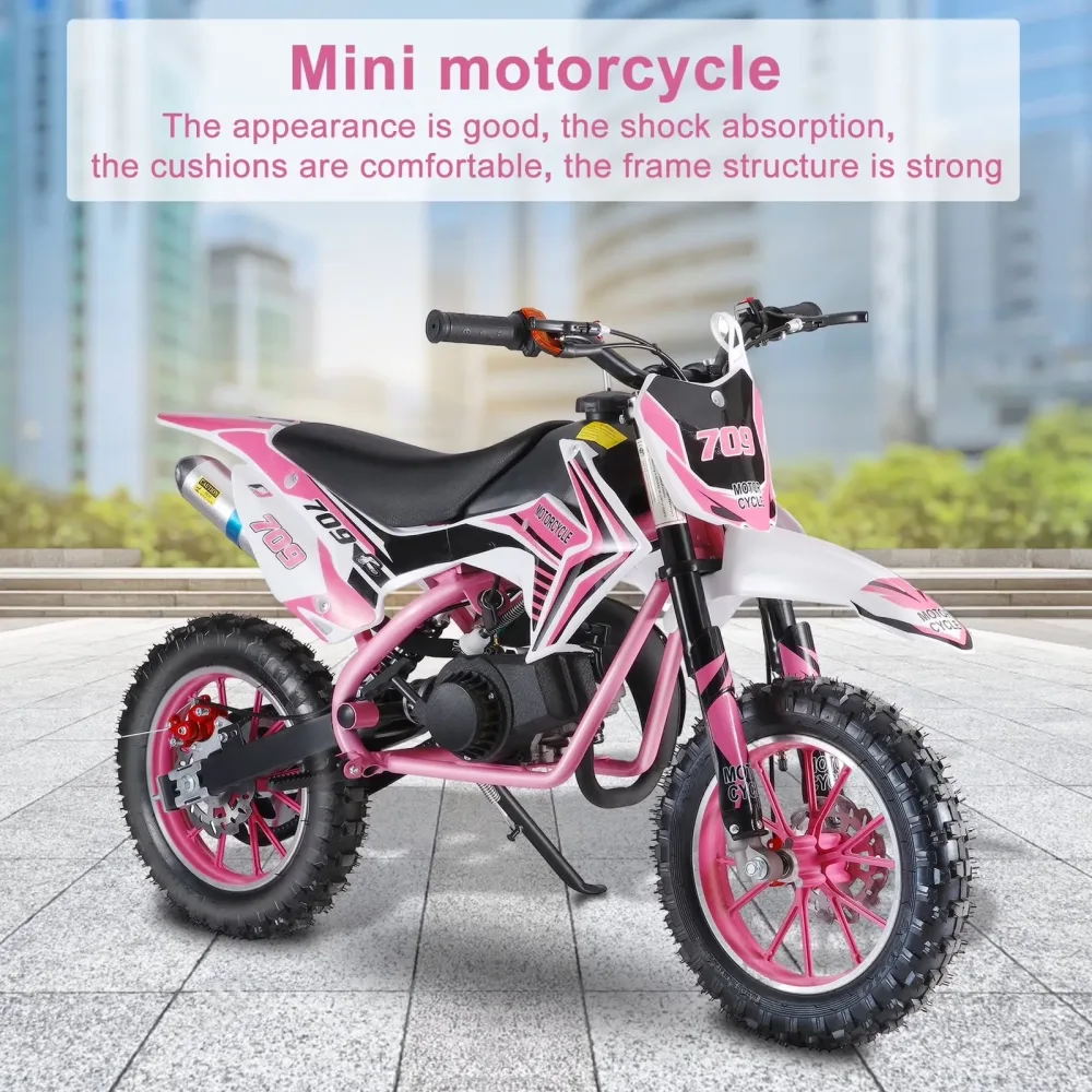 Motorcycle 10" 150kg 10 inches