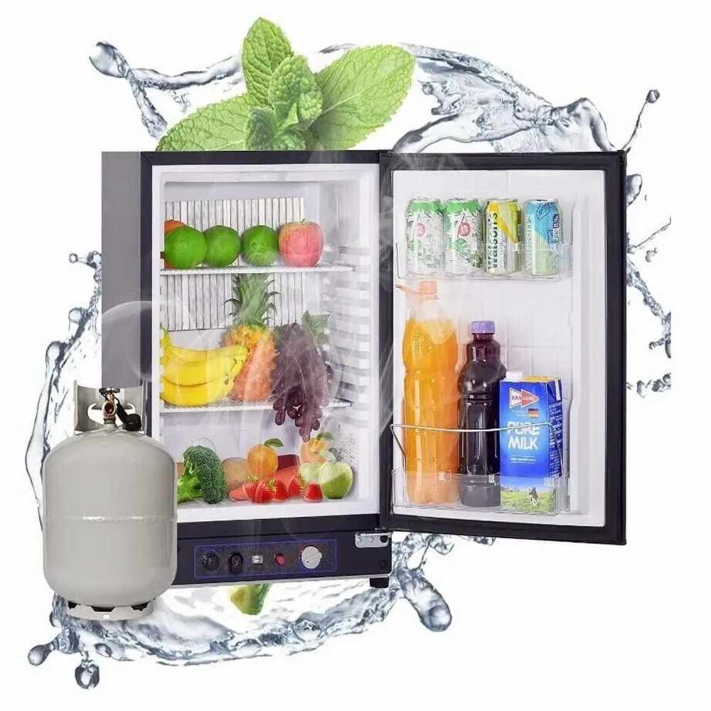 Refrigerator 12v 110v 25 inches