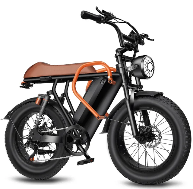 Electric Bike 750w 20' 48v
