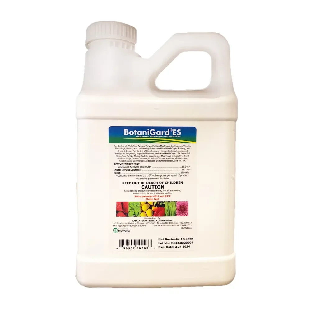 Insecticide