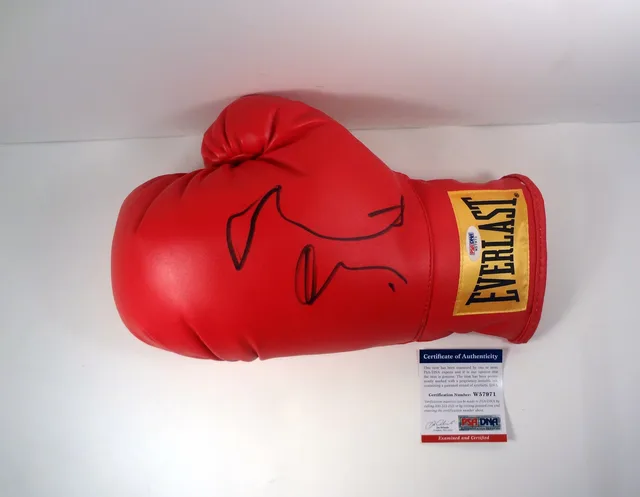 Boxing Glove