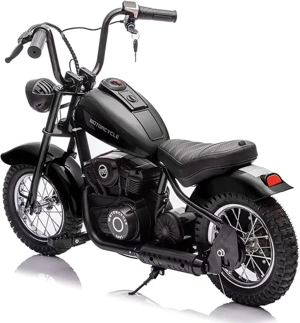 Dirt Bike 24v 250w led
