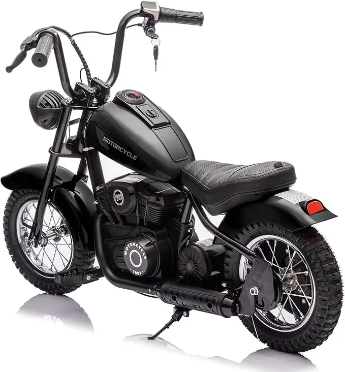 Dirt Bike 24v 250w led