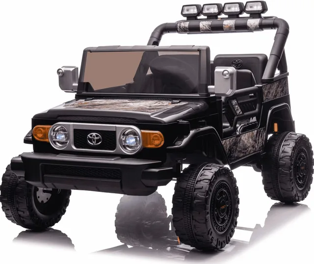 Remote Control 24v black 24 volt