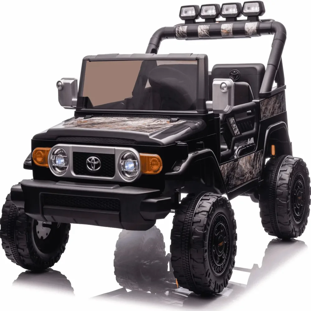 Remote Control 24v black 24 volt