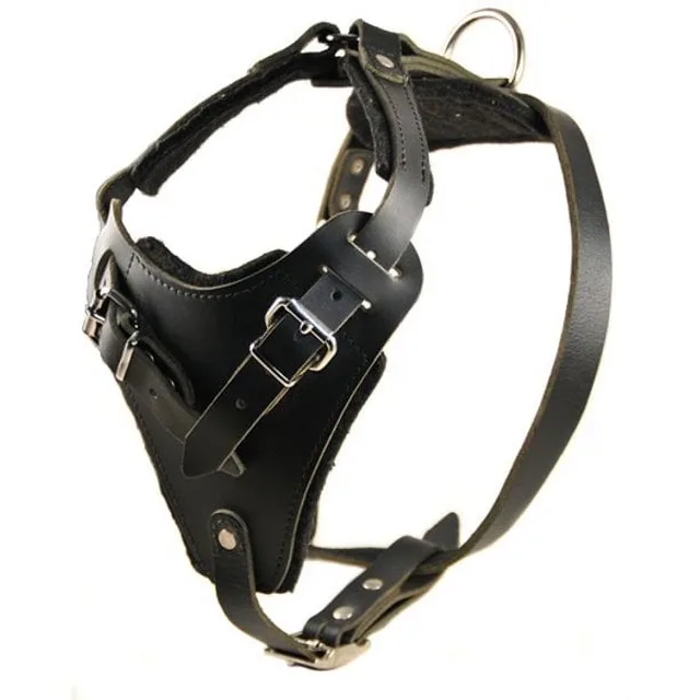 Collars & Travel adjustable black 4 inch
