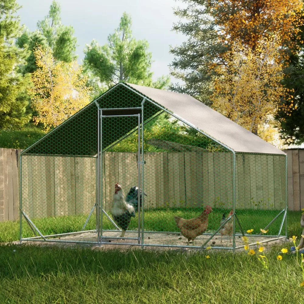 Chicken Coop 20' 10' 6.56'