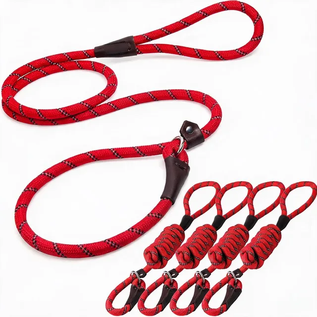 Collars & Travel 6 ft 2 in red