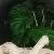 Reptile Enclosure 120 gallon black 120 gallons