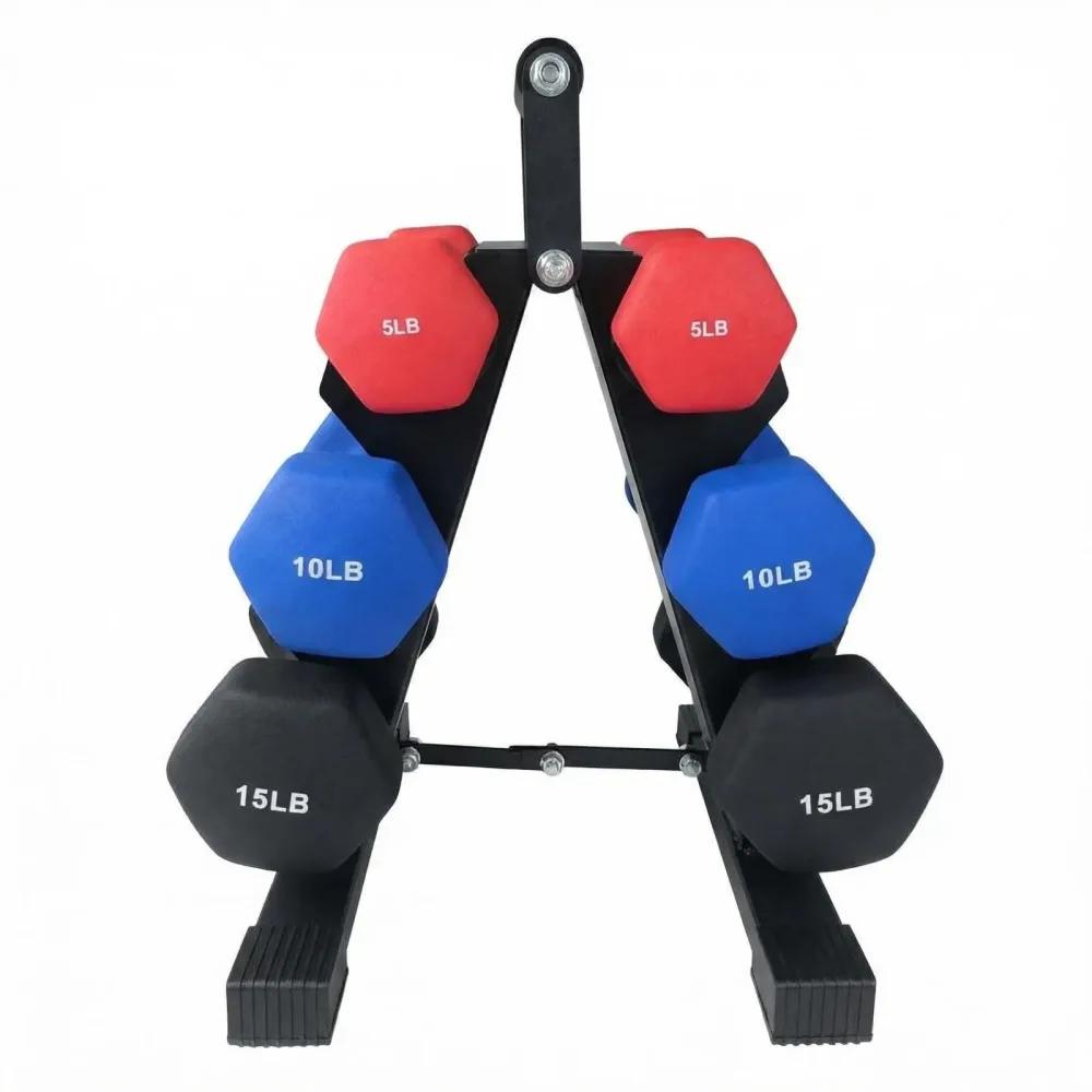 Dumbbell Weight 1lb 2lb 3lb