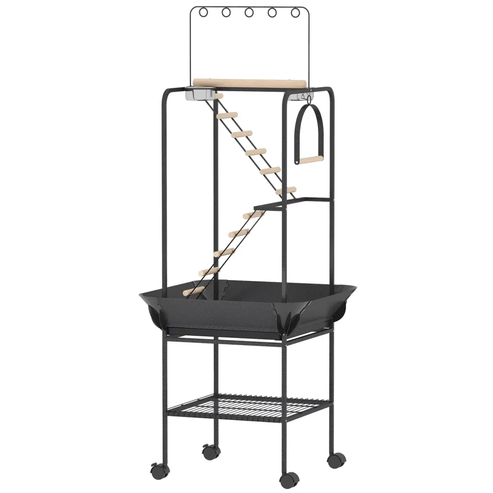 Rolling Bird 64" 24.8" 64.2"
