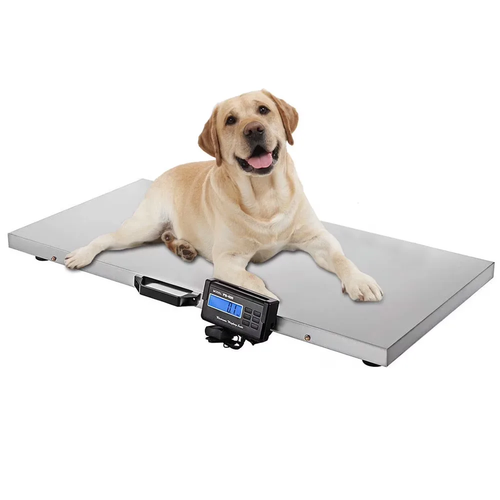 Scale 1100lbs 53cm 1100lb