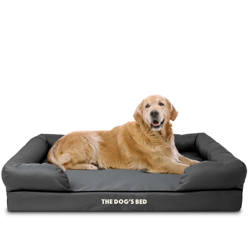 Dog Bed waterproof grey black