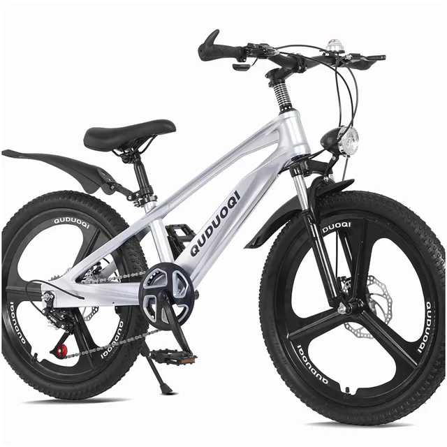 Mountain Bike 20 inch silver 20 in