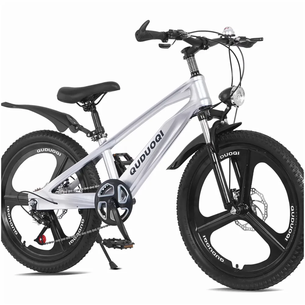 Mountain Bike 20 inch silver 20 in