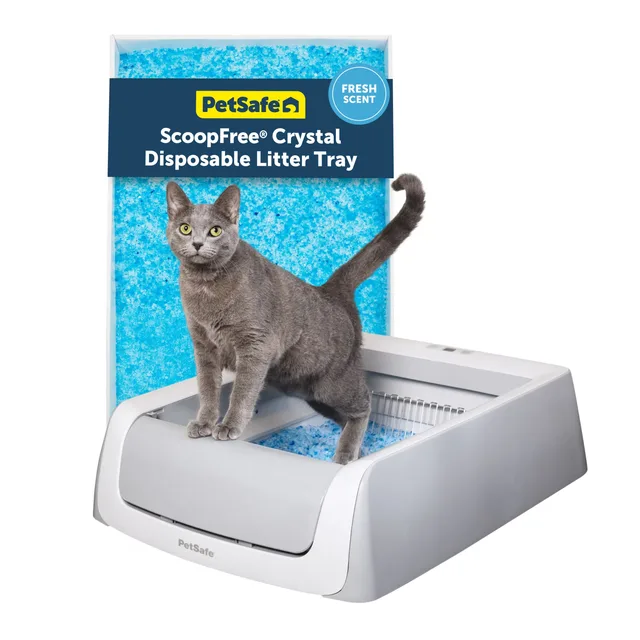 Cat Litter gray