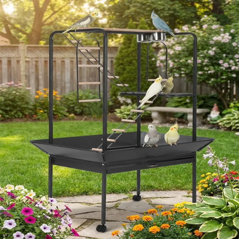 Parrot Bird black