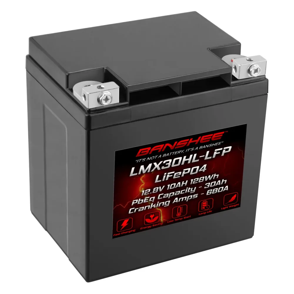 Battery 12 volt 6.3 lbs 25 lbs