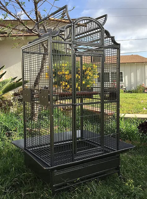 Bird Parrot 28" 22" 63"