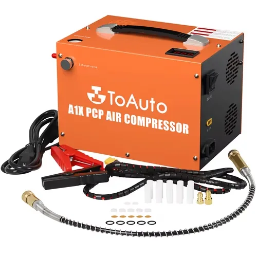 Pump 12v 110v portable