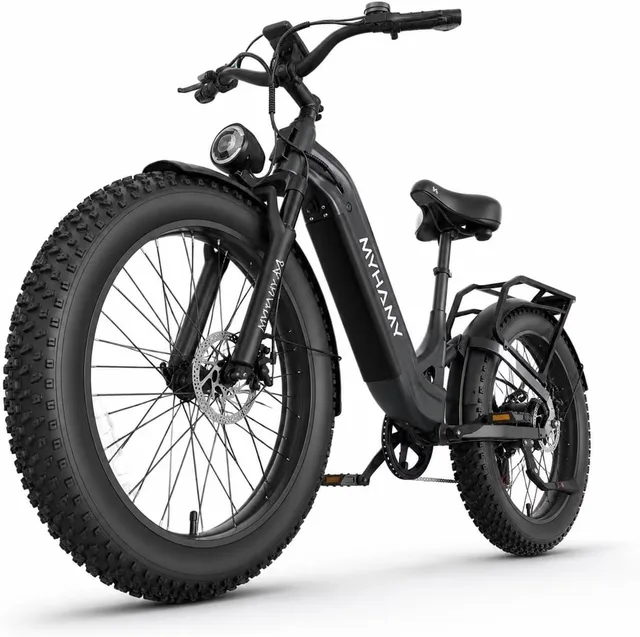 Electric 2000w 48v 24"