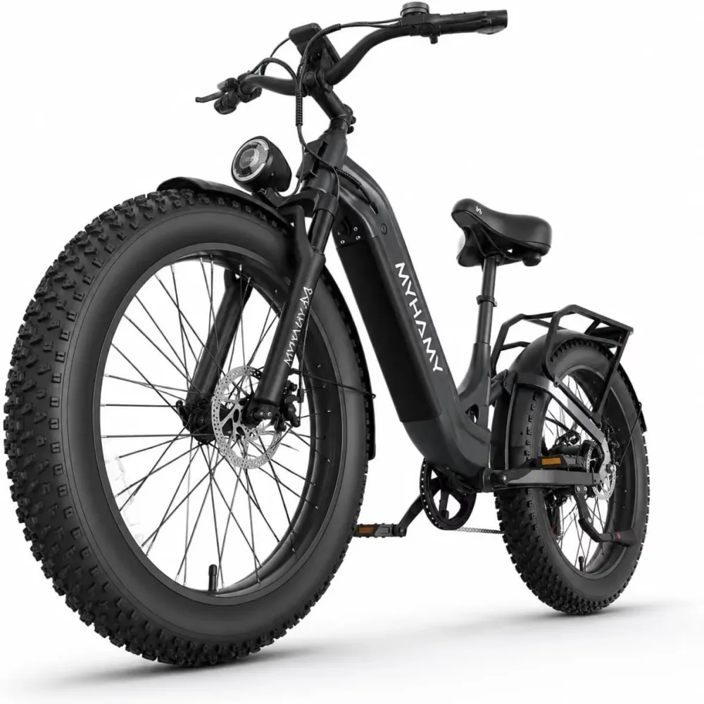Electric 2000w 48v 24"