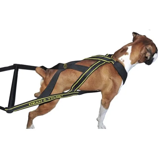 Collars & Travel 22" 20" 15"