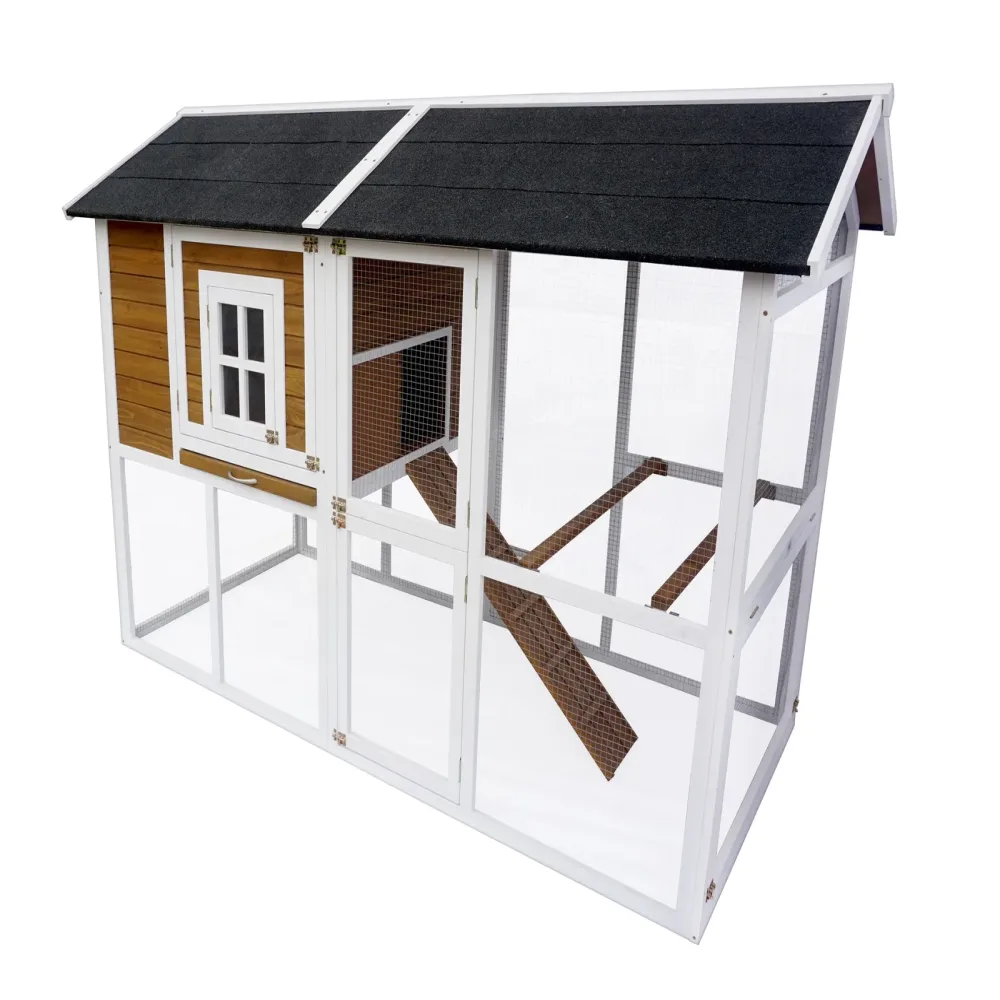 Chicken Coop