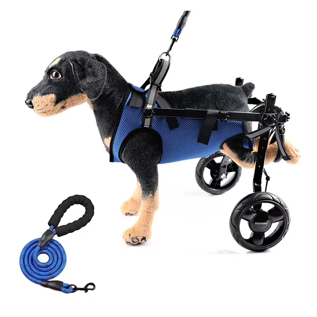 Health & Grooming blue adjustable
