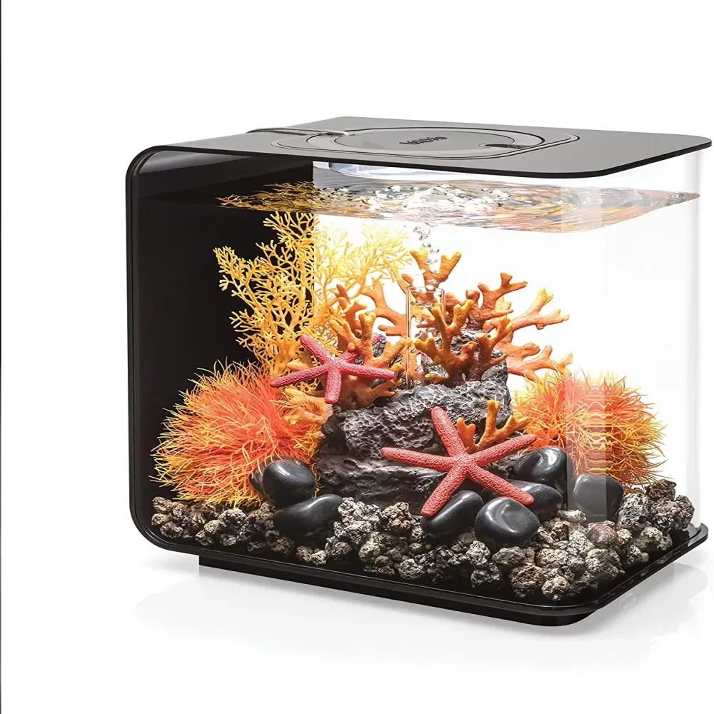 Standard Light 4 gallon black 12v