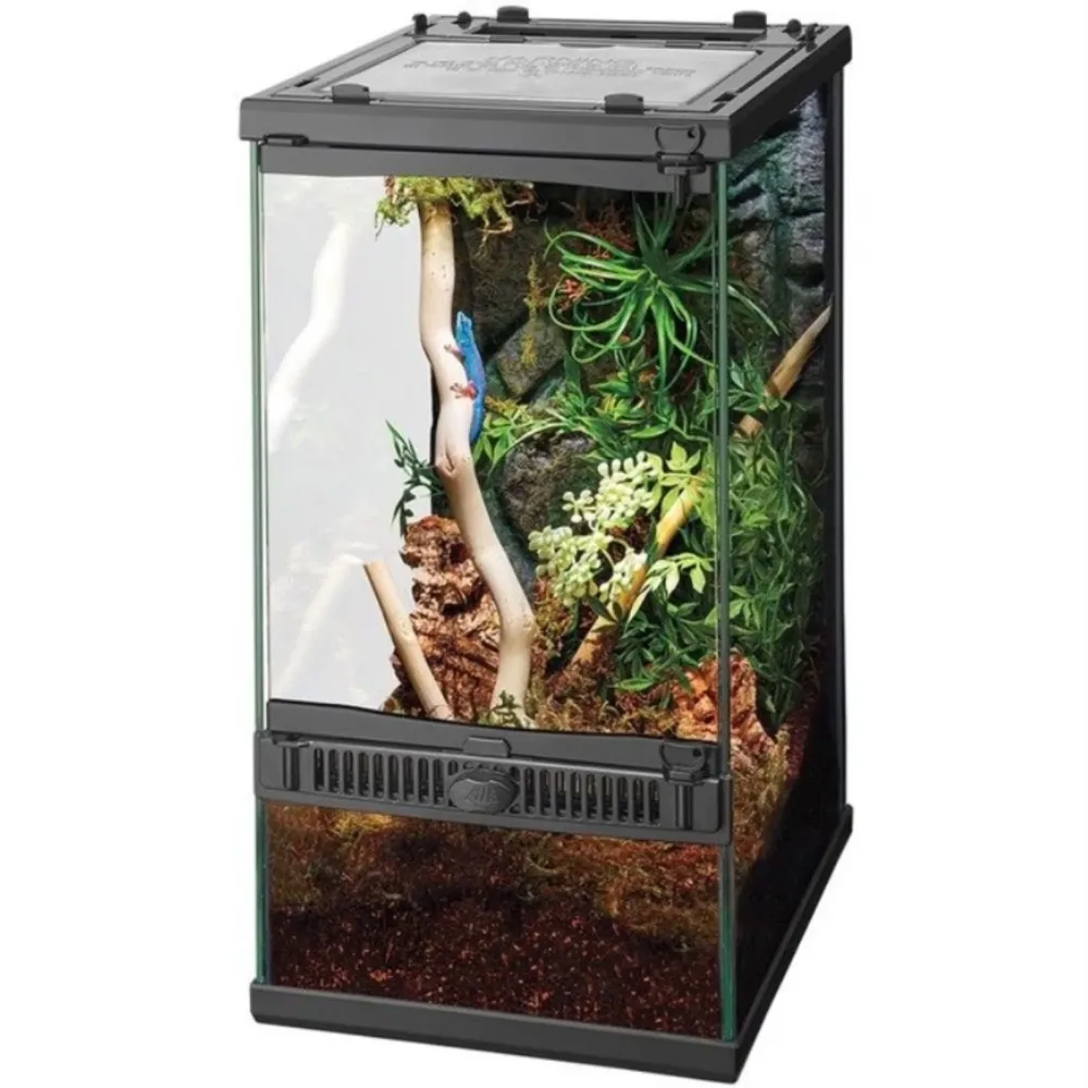 Reptile Care
