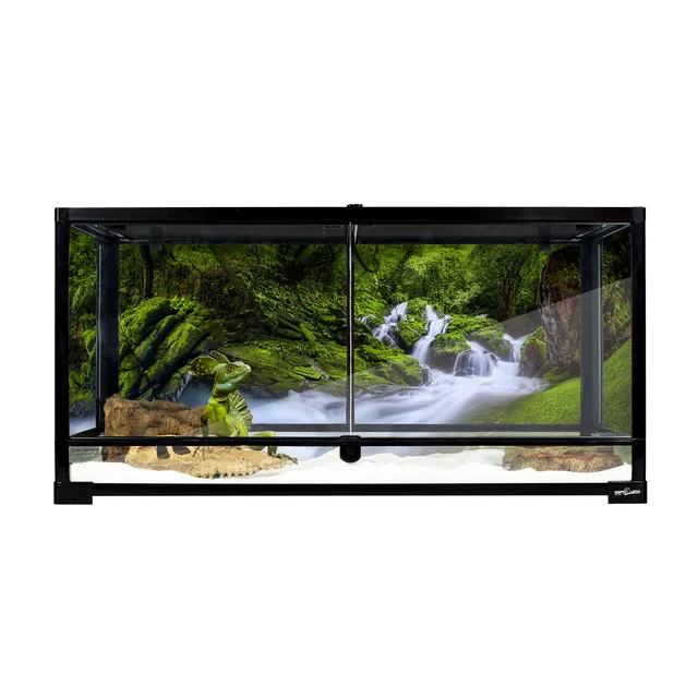 Reptile Care 40 gallon
