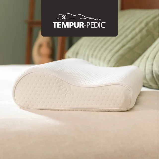 Pillow 2 pack 20" 12.5"