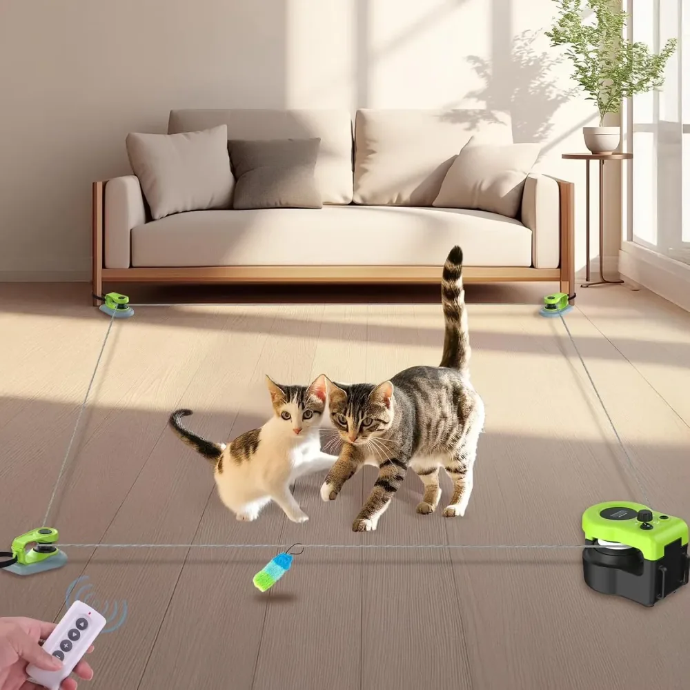 Cat Toy blue adjustable green