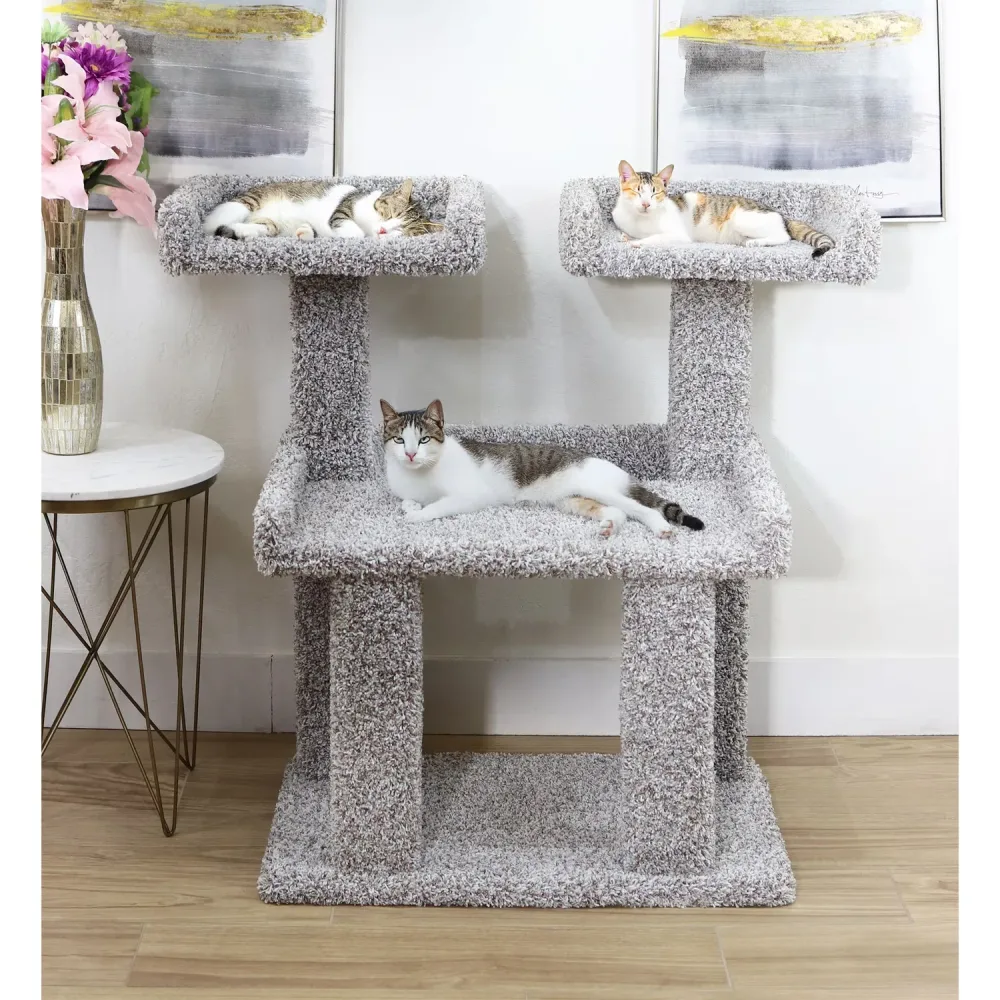 Furniture & Enrichment