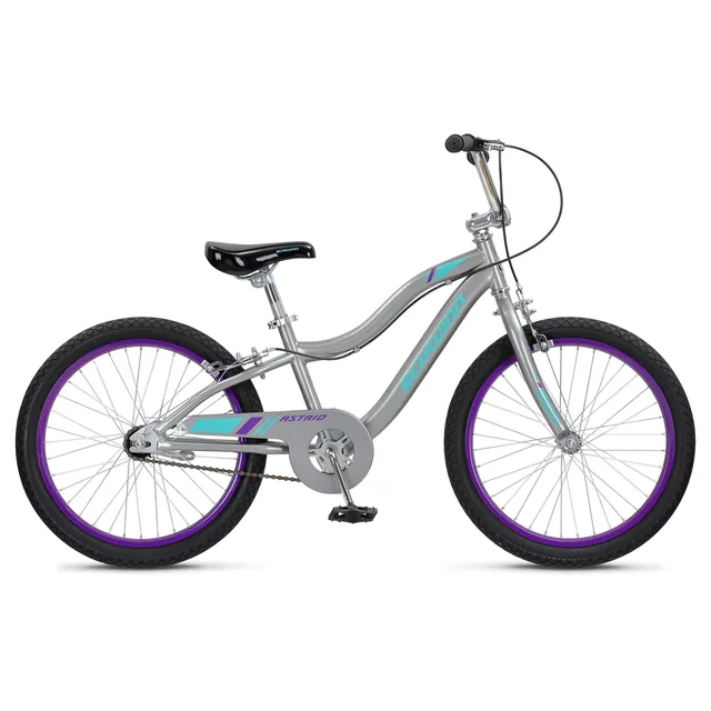 Bike 20 inch grey 20"