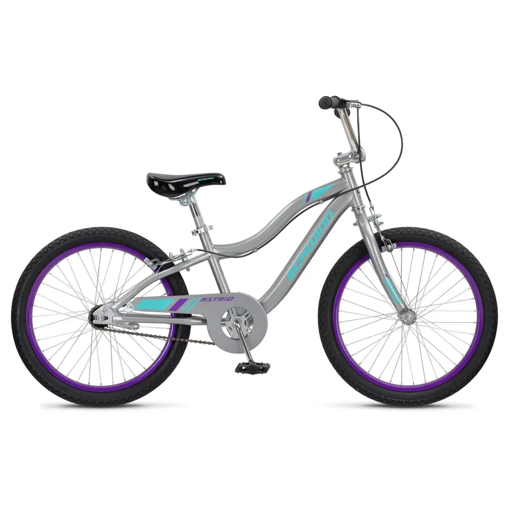 Bike 20 inch grey 20"