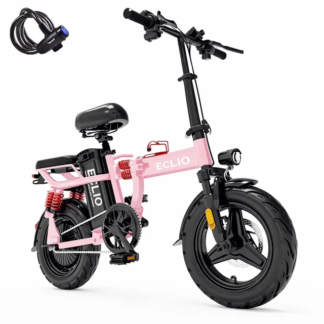 Electric Bike 700w folding foldable