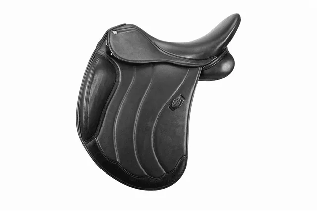 Saddle black