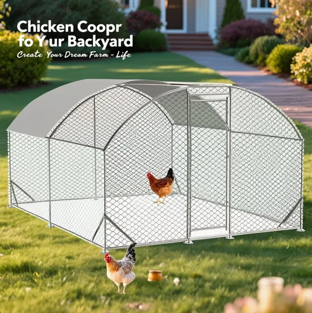 Chicken Coop 9.84' 13.12' 6.56'