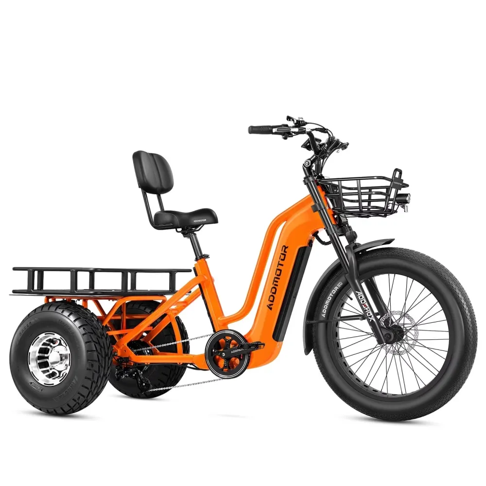 Electric Tricycle 750w 48v 500lbs