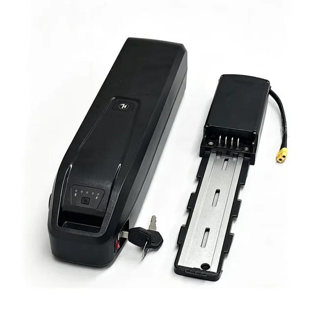 Electric Bicycle 48v 1000w 100w