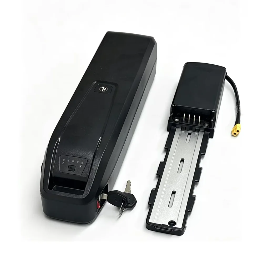 Electric Bicycle 48v 1000w 100w