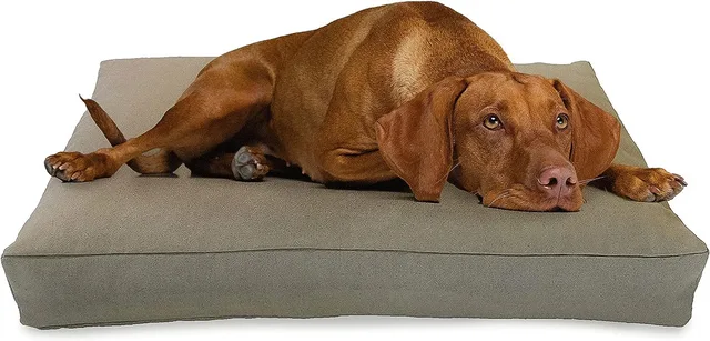 Dog Bed 54 inches 36 inches 6 inches