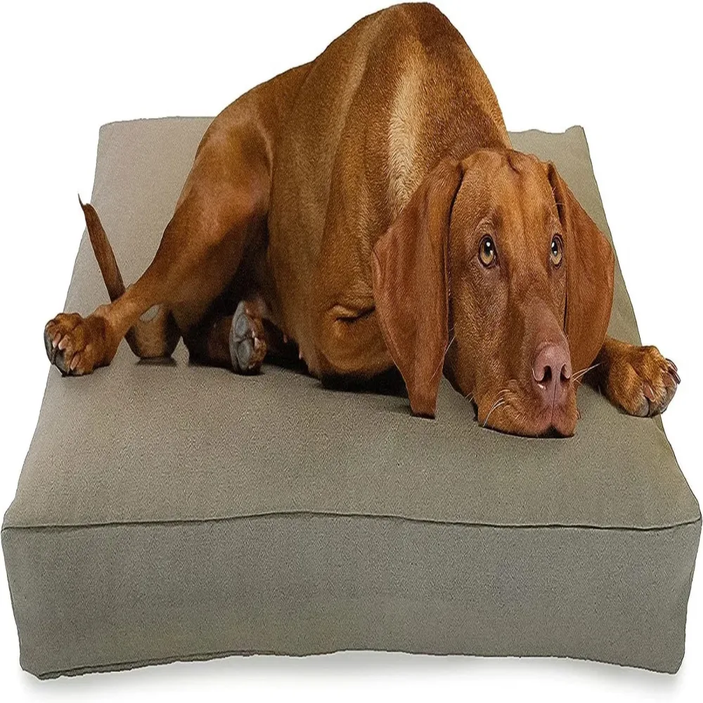Dog Bed 54 inches 36 inches 6 inches