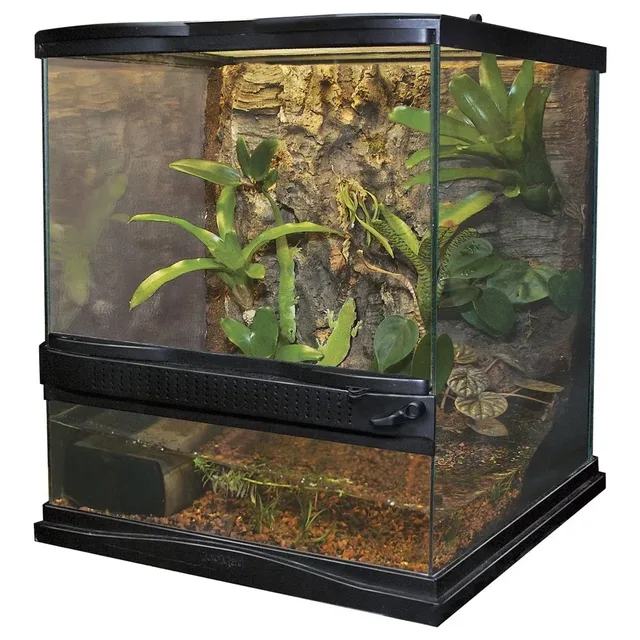 Reptile Care 12"
