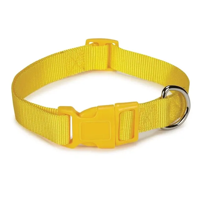 Dog Collar 10 inch adjustable yellow