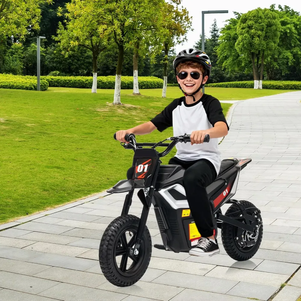 Electric Bike 24v 350w rechargeable