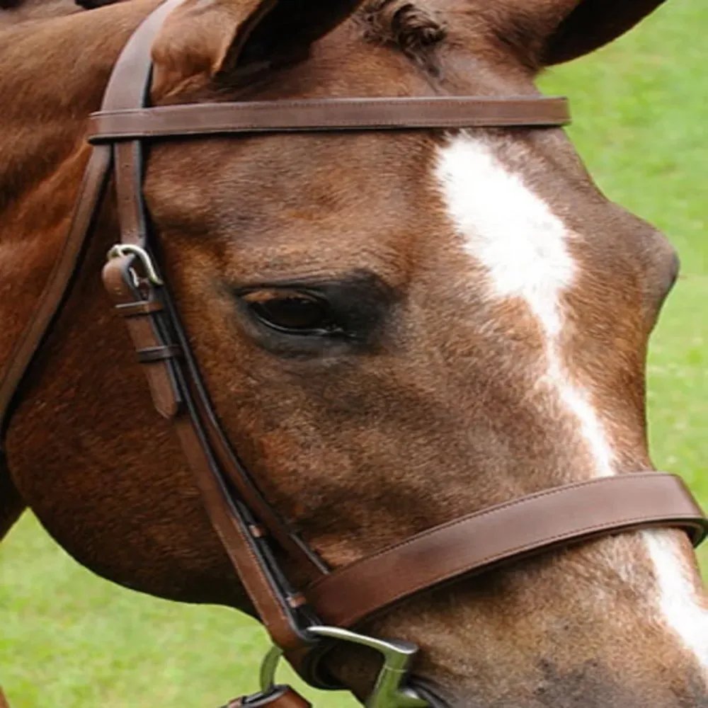 Feed & Hay brown 8" 1.25"