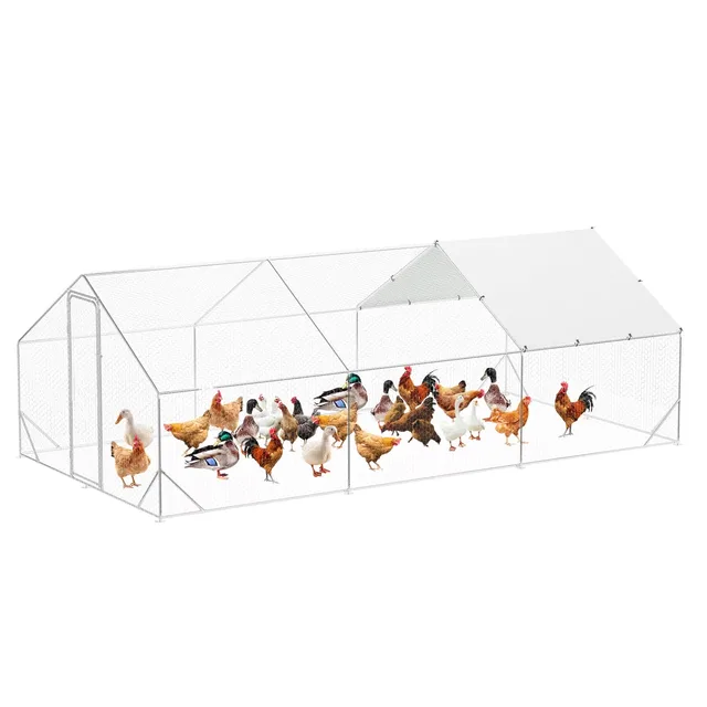 Chicken Coop 9.8' 19.7' 6.6'